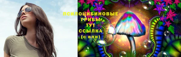 ПСИЛОЦИБИНОВЫЕ ГРИБЫ Алексин