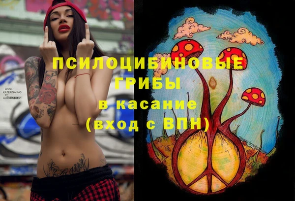синтетический гашиш Алексеевка