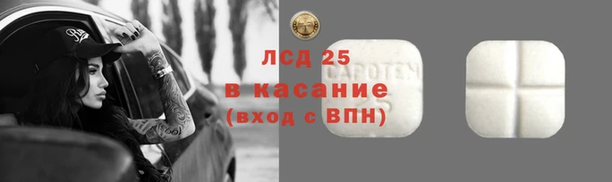 гидропоника Пересвет