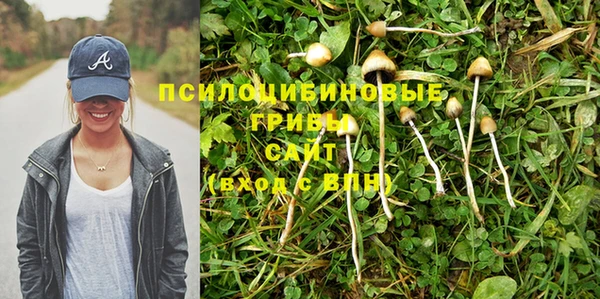 синтетический гашиш Алексеевка