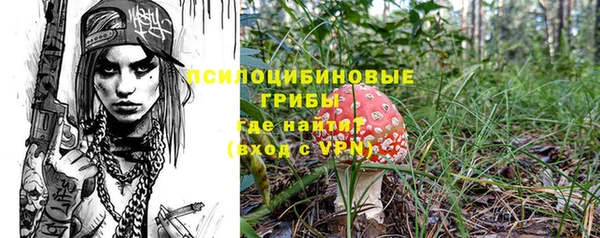 ПСИЛОЦИБИНОВЫЕ ГРИБЫ Алексин